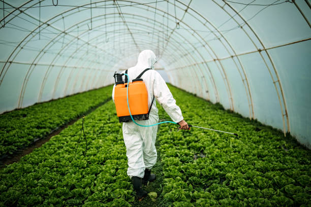 Best Commercial Pest Control Services  in Mccordsville, IN