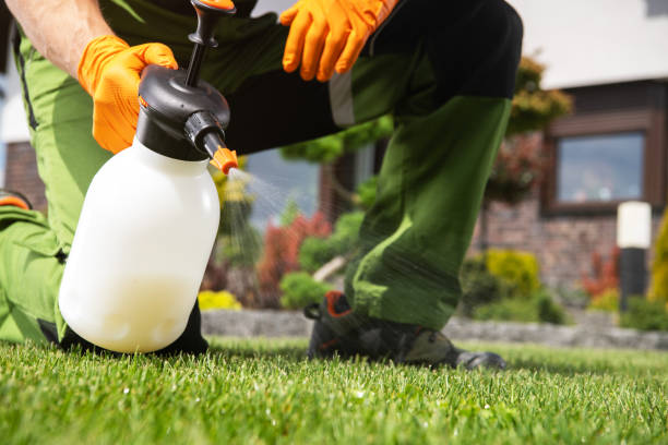 Best Best Pest Control Companies  in Mccordsville, IN