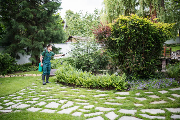 Best Exterminator Services  in Mccordsville, IN