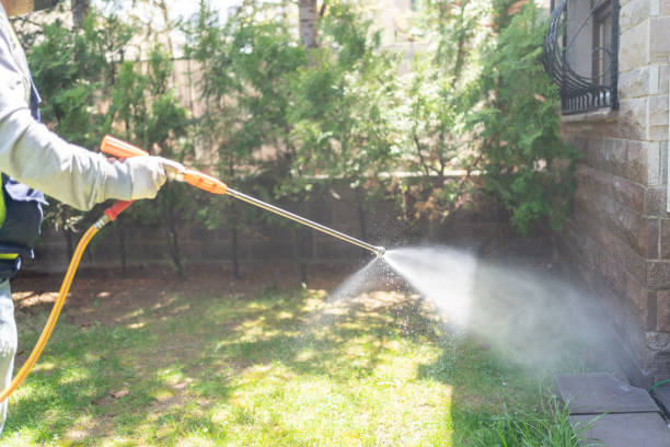 Best Pest Removal Services  in Mccordsville, IN