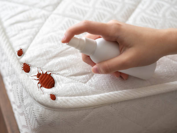 Trusted Mccordsville, IN Pest Control Experts
