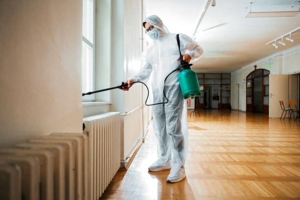 Best Rat Extermination Near Me  in Mccordsville, IN