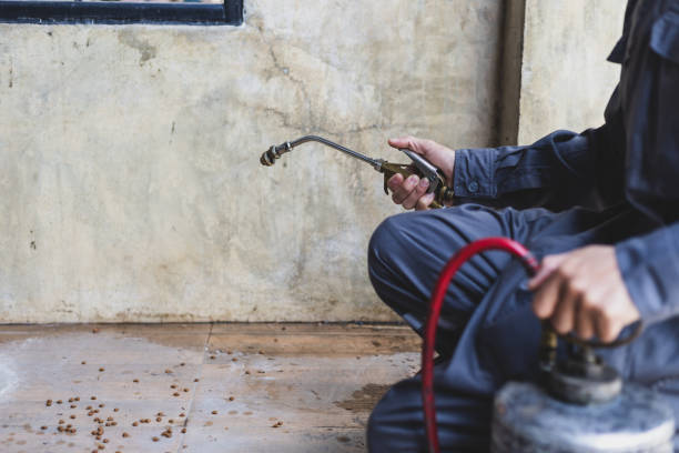 Best Local Pest Control Services  in Mccordsville, IN